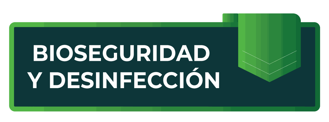 Odoo - Ejemplo 1 para tres columnas
